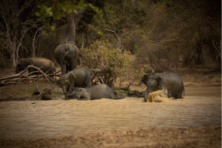 Scenic view of Badulla