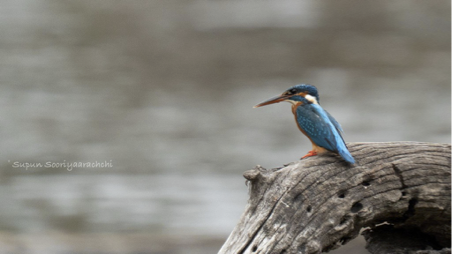 Scenic view of Badulla
